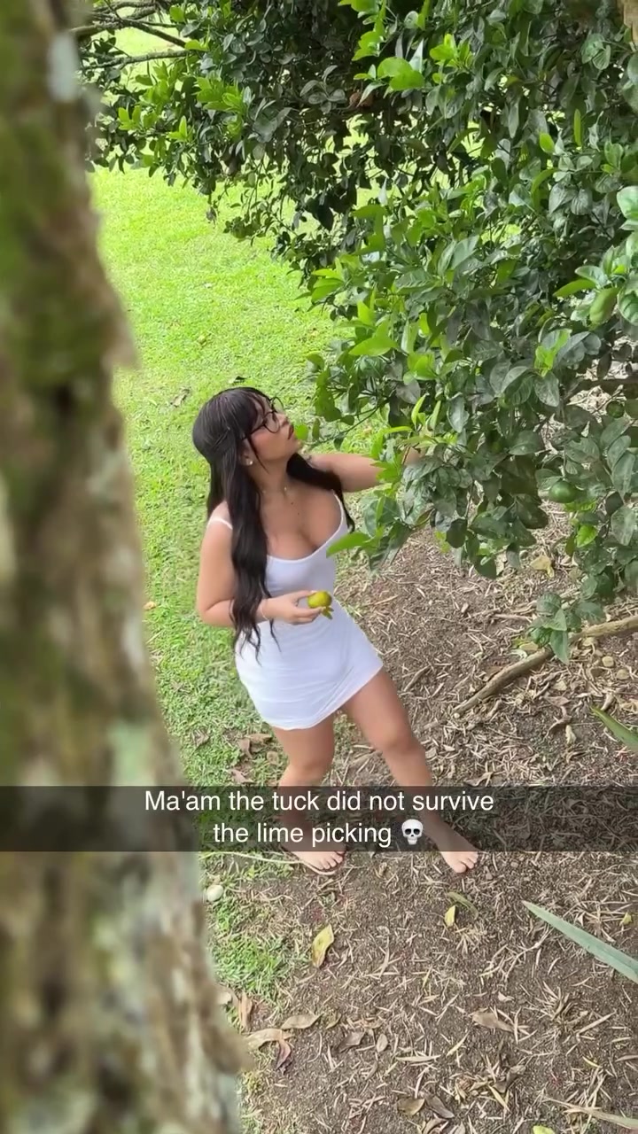 the tuck did not survive lime picking 💀